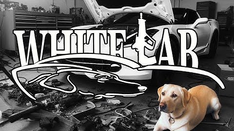 How to Replace a Rear Main Seal on a Small Block Chevy (SBC) - Step-by-Step Guide