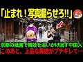 【海外の反応】「こっちむいて！」祇園で舞妓を追いかけ回して写真を撮る中国人観光客…普段はおしとやかな舞妓さんが突然…