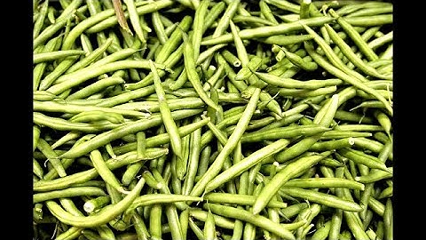 greenbean_sr custom source - sparta remix