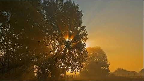 تلاوة هادئة وجميلة تُرقق القلوب وتريحها