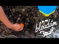 How to cut and fish with red bait  galjoen and mussel cracker fishing