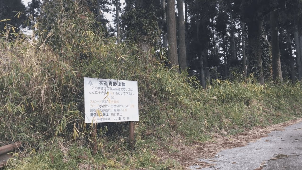 【デリカミニで行く】大分県 林道 青野山線