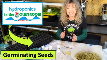 Hydroponics In The Classroom, Germinating Seeds