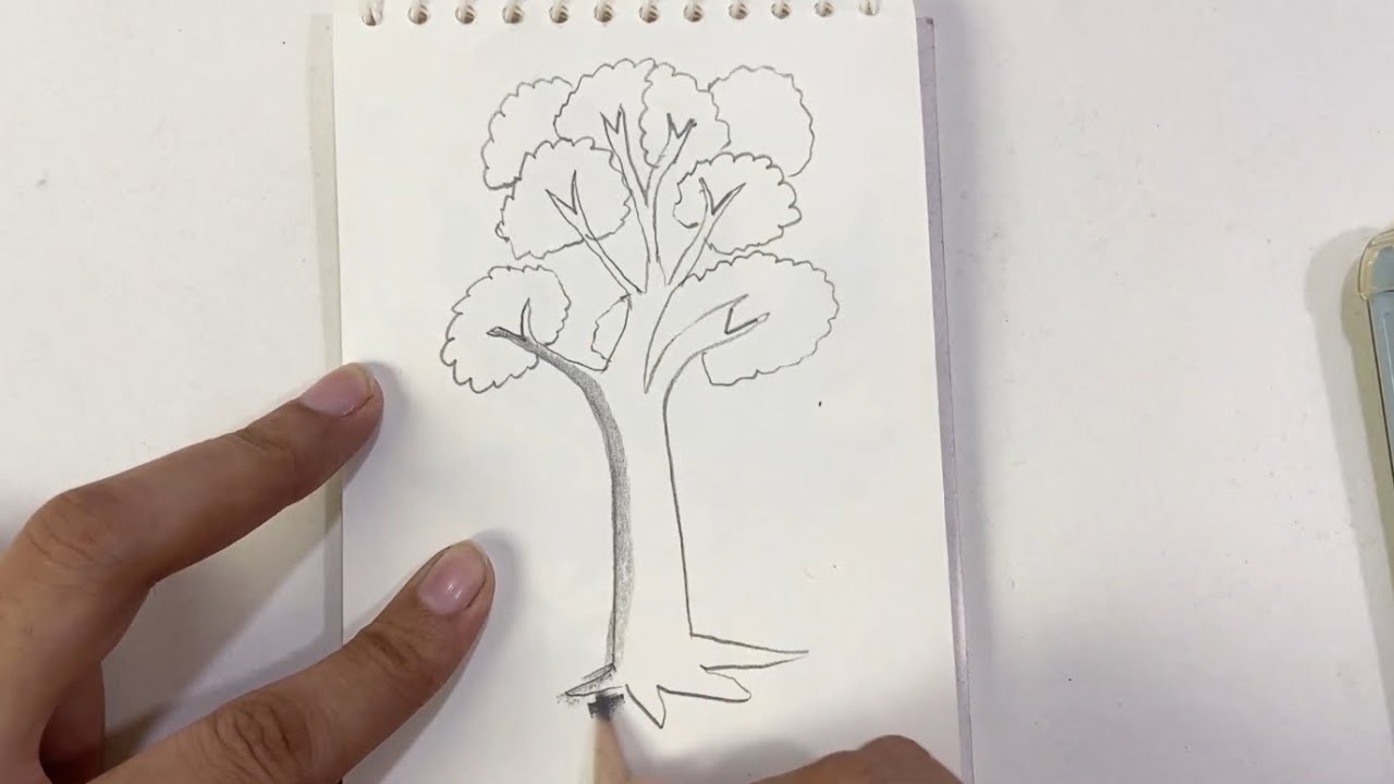 Easy Graphite Tree Draw V & make a tree with Graphite Drawing Tutorial : Learn graphite ...