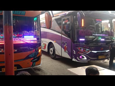 RAME FULL BUS TELOLET BASURI🥳 Hunting Bus Trip Anyer  Di Pusat Oleh Oleh CM7👏