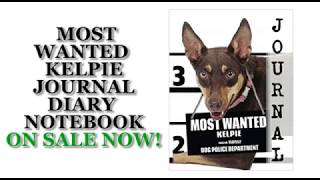 Most Wanted Kelpie Journal Diary Notebook (Dog Journal Notebook Diaries)