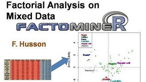 Factorial Analysis on Mixed Data