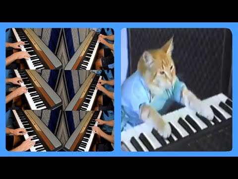 keyboard-cat-but-with-6-more-keyboards