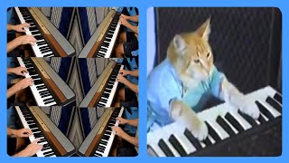Keyboard Cat but with 6 more keyboards