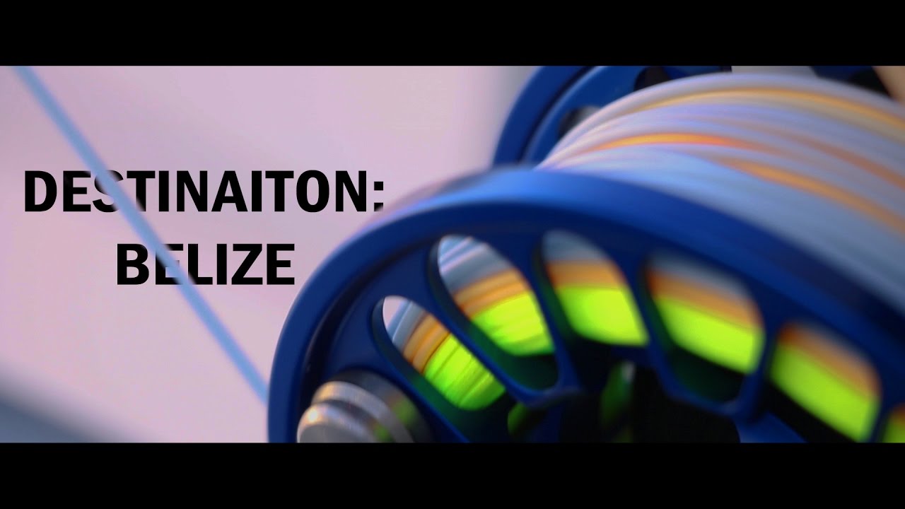 SaltFly~ DESTINATION: BELIZE