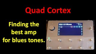 Best Amps for Low Gain Tones on the Quad Cortex