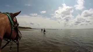 Balade A Cheval Au Village Western Hourtin Gopro