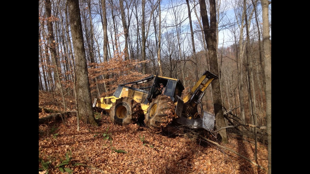 logging