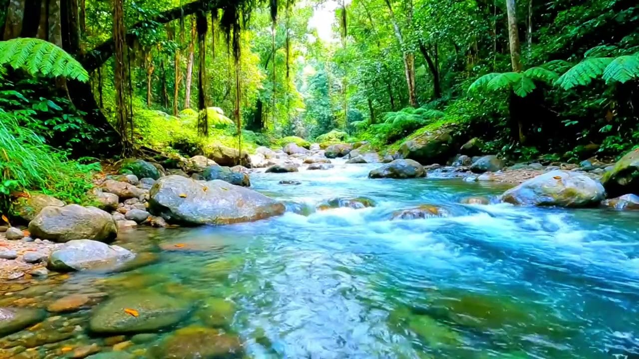 Forest River flowing in Early Morning 4k. Relaxing River Sounds, White Noise for Sleep, Meditation.