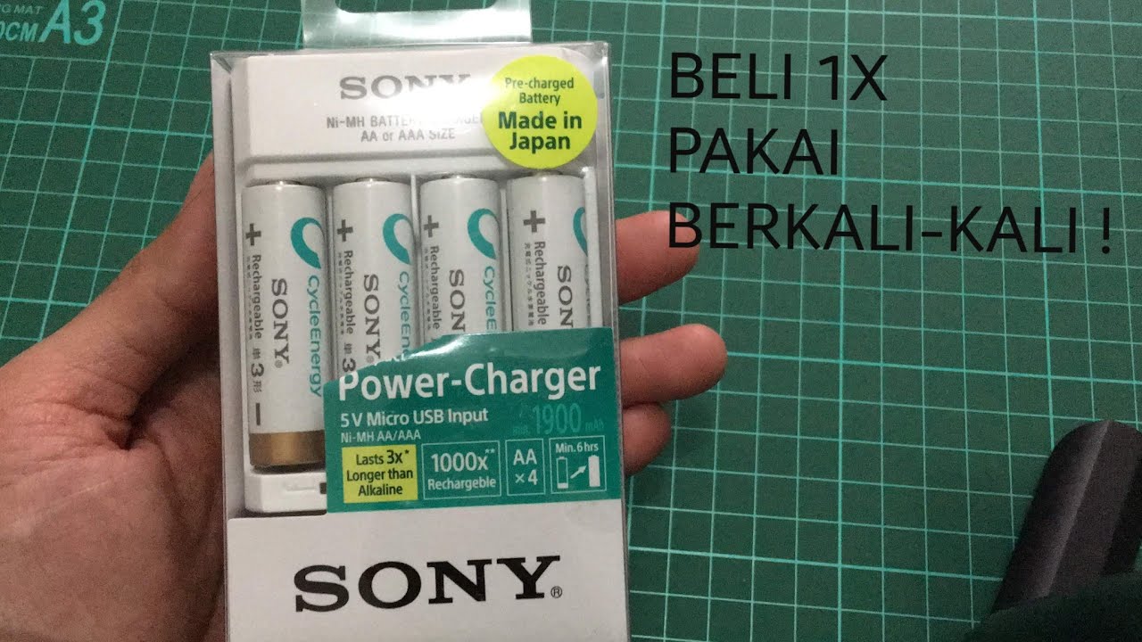 120. SONY RECHARGEABLE BATTERY & SMART CHARGER YouTube