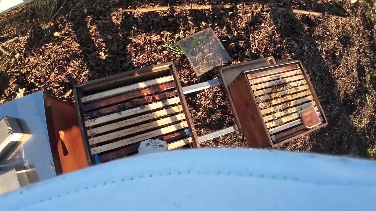 Kontrola zásob po zimě... :)