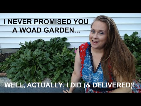 וִידֵאוֹ: What Is A Woad Plant - How To Grow Plant Woad In The Garden