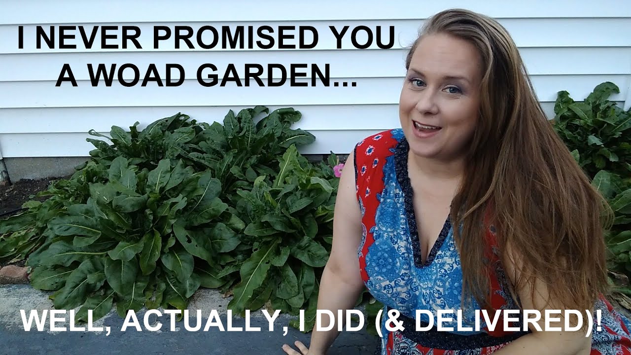 How to Grow a Woad Garden - A Plant for Creating a Dye for Fabrics (Step 4 of My Dream Project!)