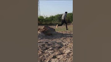 Anaconda Snake Attack 8 P3 #shorts #snakevideo #snakes #anaconda #snake #python