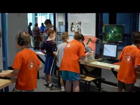 Brain Development in Early Life - YouTube