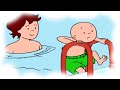 Caillou Learns to Swim   EVERY SINGLE CAILLOU EPISODE | Longest Caillou Video | Cartoon Compilation