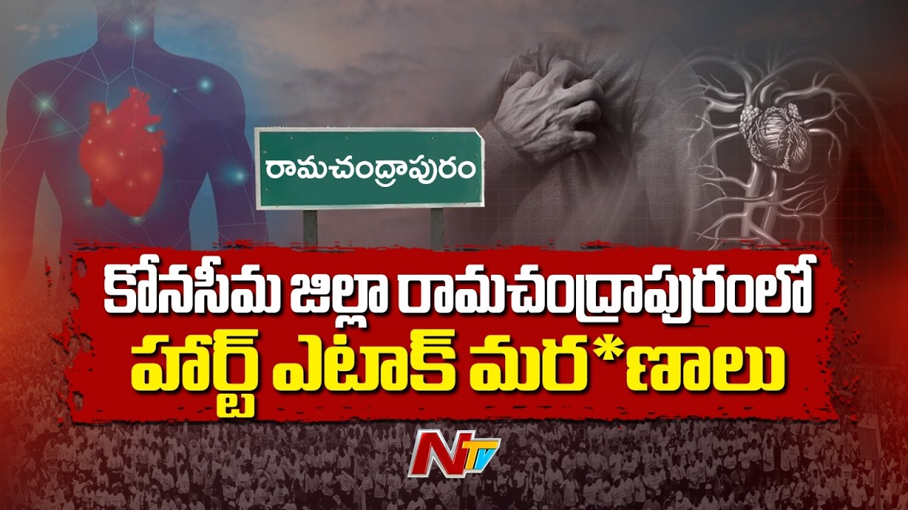రామచంద్రాపురంలో 20 నెలల్లో 450 మంది మృ*తి | Konaseema | Heat Att*acks | NTV Telugu