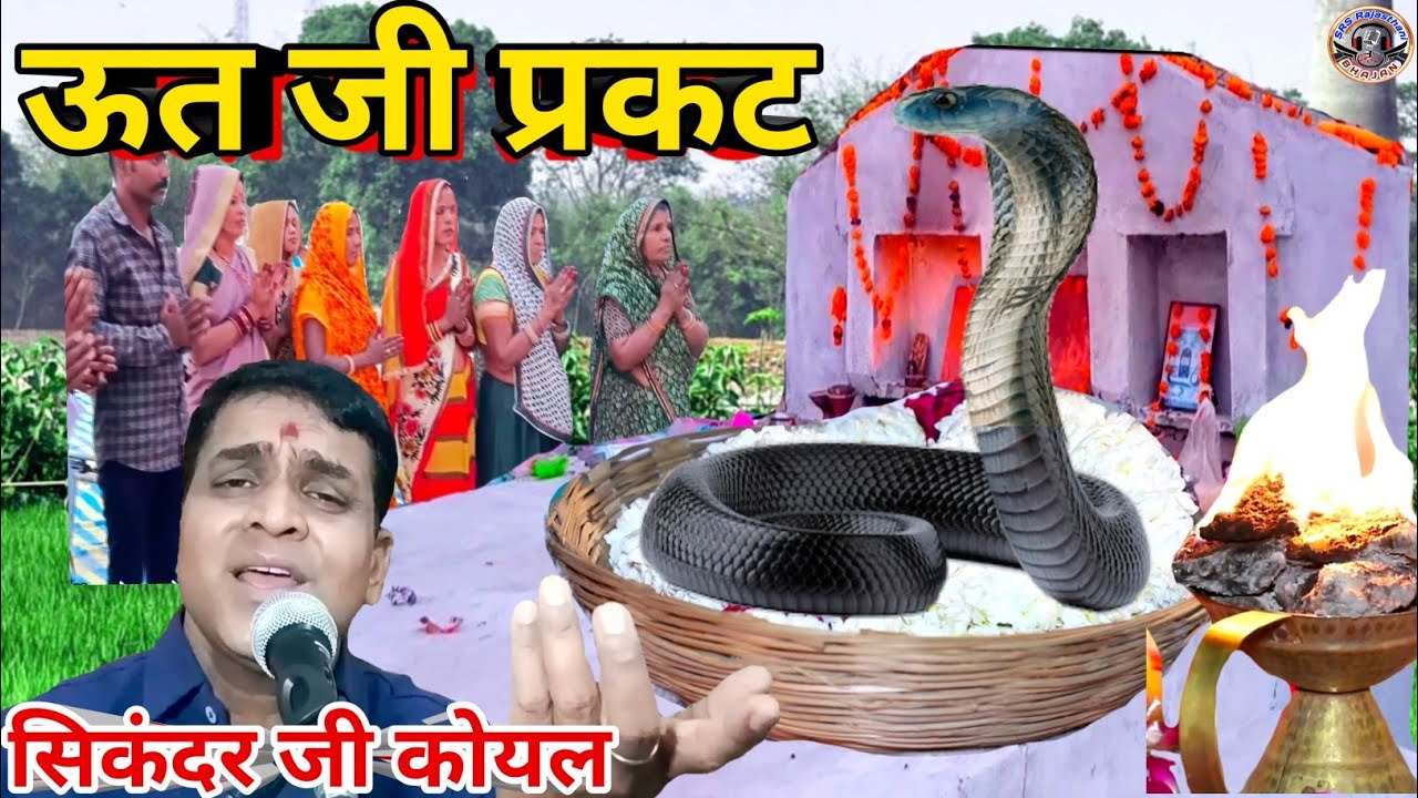 ऊत जी महाराज भजन | सिकंदर कोयल |भजन मे आवे क्यों नहीं | रात चौदस की जागे | उतजी प्रकट | srs bhajan