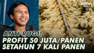 Usia 28 Tahun Sukses, Optimalkan Nutrisi & Performa Ayam Broiler untuk Keuntungan Maksimal!