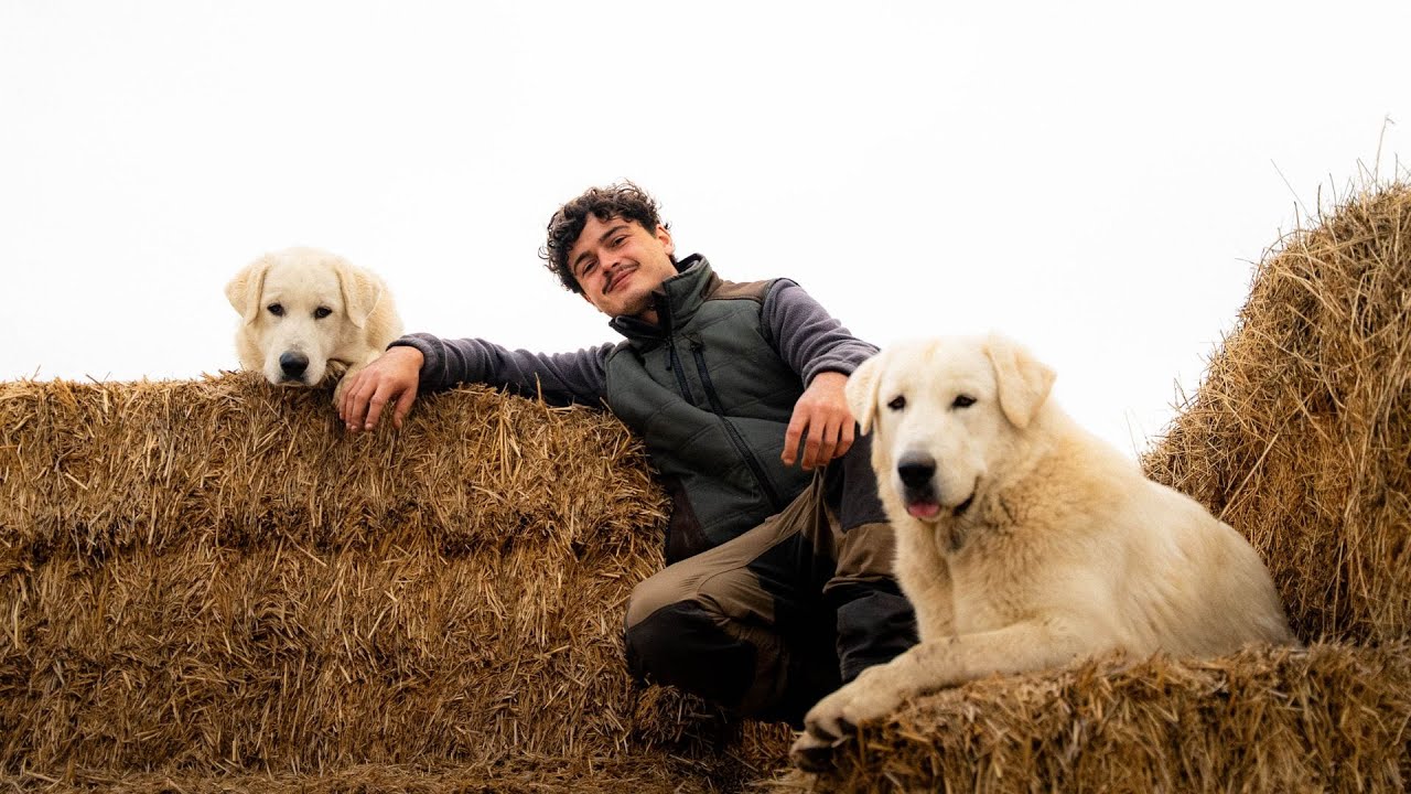Je vous présente mes compagnons de la ferme