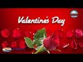 Happy Valentine's Day! ハッピー・バレンタイン・デーに最適なバラの花びら舞うおしゃれでポップなラグジュアリー・ムービー。バチェラー ジャパンのパロディとしても映像制作可能