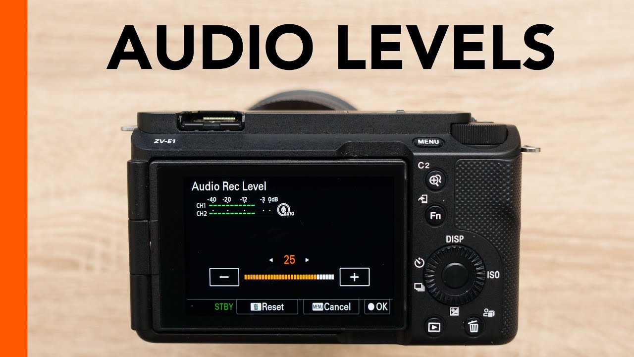 Sony ZV-E1 - Audio Recording Levels (plus Wind Noise & Mic Direction)