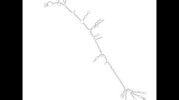 Human Non Coding RNA Folding - Part 5