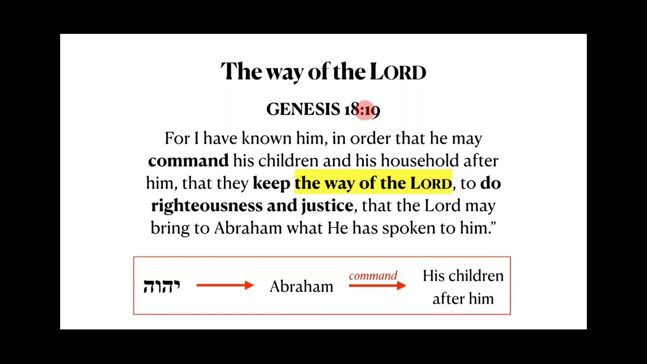 matthew-28-19-20-unpacking-the-great-commission-of-making-disciples
