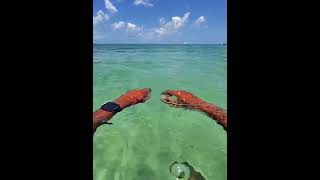 META Raybans POV Swimming in Nevis Pinny's Beach.