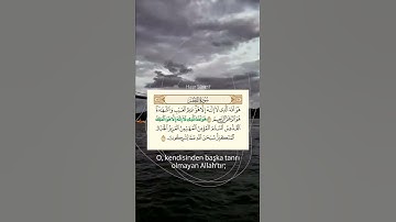 أواخر سورة الحشر بترتيل عراقي عمر الدريويز 💚🌙