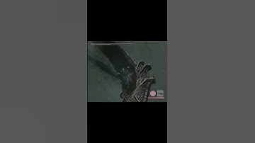 Shadow of the Colossus