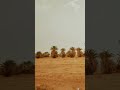 Arrivée à M'hamid, Maroc 🏜️