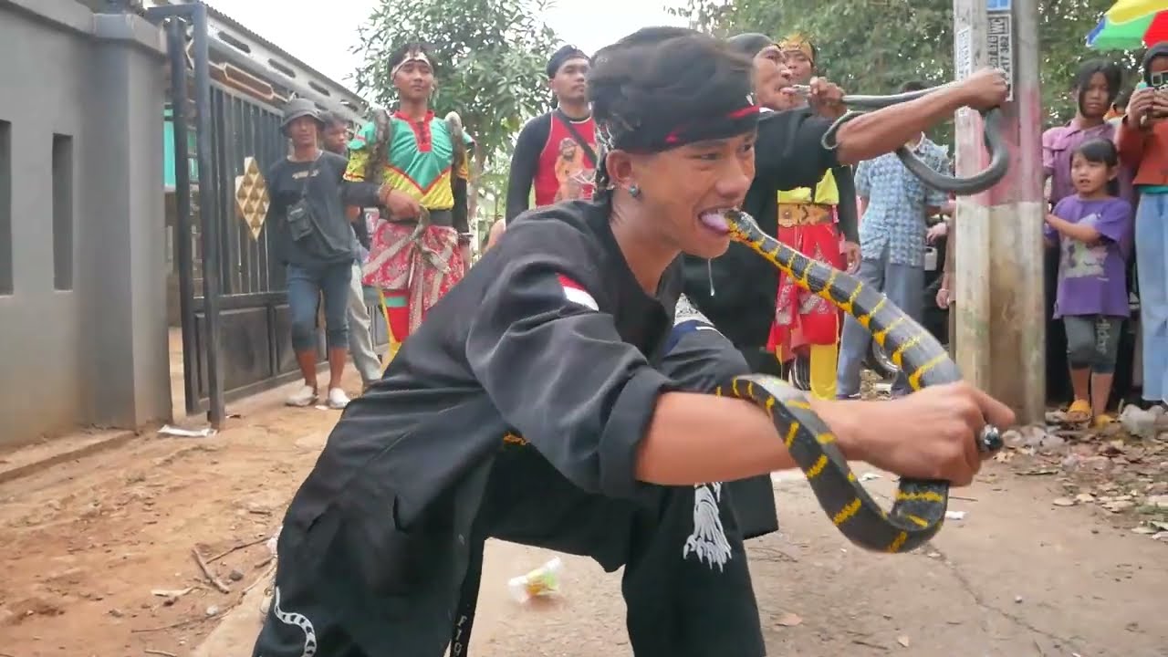 Atraksi Ular - Singapongdut REWOK GROUP -  Telanjung - Bekasi 2023