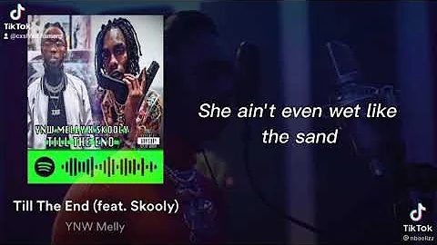 Till the end (feat.skooly)