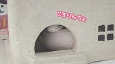 白蛇の赤ちゃん かがみちゃん Youtube 白蛇の赤ちゃん かがみちゃん Youtube