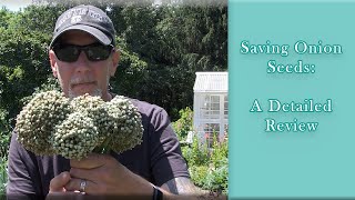 Saving Onion Seeds | An Updated Detailed Review