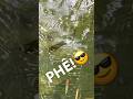 Anh em gặp ổ rô nào giật liên tay vậy chưa?#CauCa #HaiHuaFishing #BigFish #FishingLife #FishingVideo