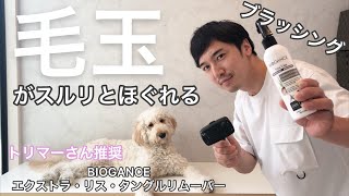 犬 毛玉 ローションで驚くほど毛玉がスルリとほどけるゴールデンドゥードルのリミィ Youtube 犬 毛玉 ローションで驚くほど毛玉がスルリとほどけるゴールデンドゥードルのリミィ Youtube