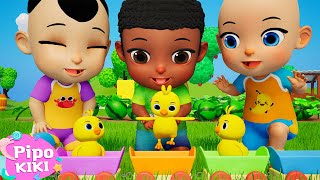 Chickens Song | 5 Little Chicken Song | Pipokiki Nursery Rhymes & Kids Songs