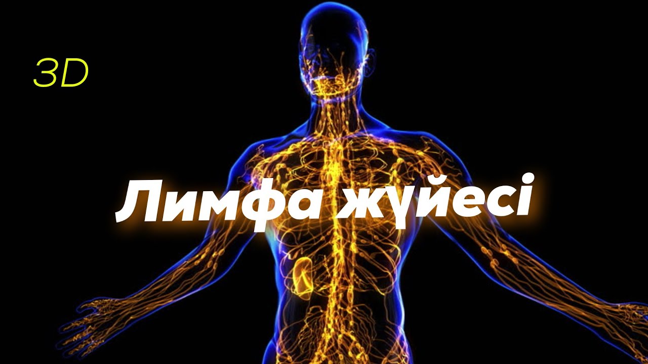 Лимфа жүйесі | Қызметі | Құрылысы | #лимфа #lymphaticsy… — Transcript