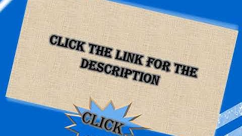 Relationship Between The Intellect And Behavior