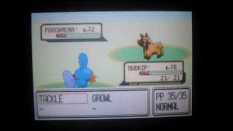 LIVE! Uncatchable shiny Poochyena!