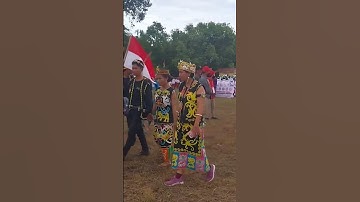 Adat dayak ikut pawai #shorts #dayak #pesulapmerah
