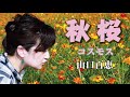 秋桜(コスモス) / 山口百恵 (cover)   Re:ORIENT