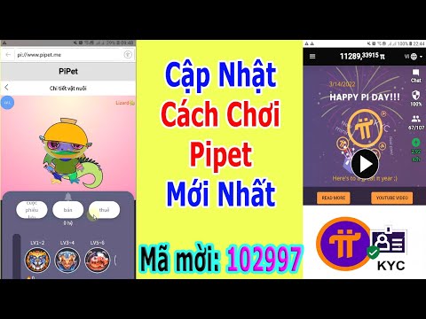Video Cập Nhật Mới Nhất Chơi PiPet | NguyenMMP - youtube